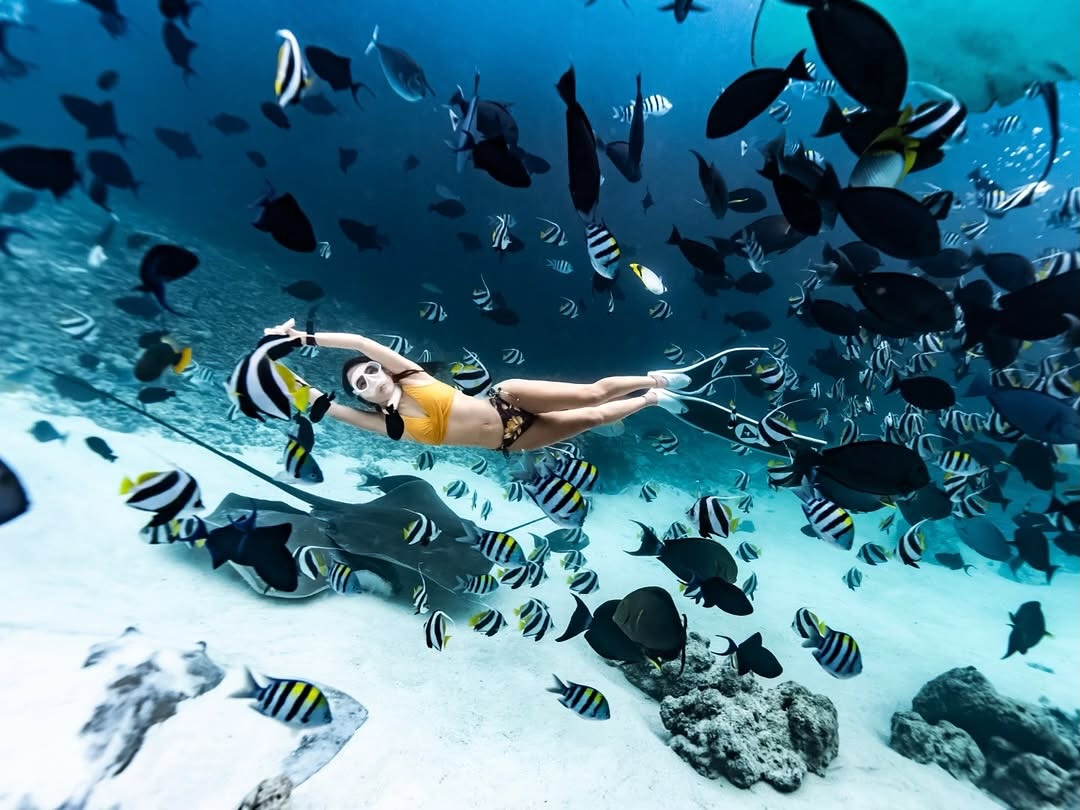 Snorkeller over a shallow coral reef